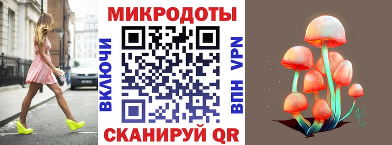 Псилоцибиновые грибы MAGIC MUSHROOMS  закладка  Петровск-Забайкальский 
